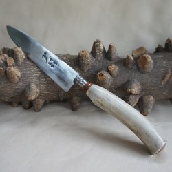 Cuchillo Franz Wenk ciervo 12 Cmts.
